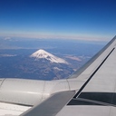 飛行機で旅したい
