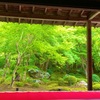 柏サポアウェイ遠征紀行　京都・大阪編①