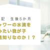 育児日記　生後5ヶ月　①シャワーの水流を掴みたい我が子　②パパ見知りなのか！？