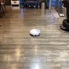 頼もしい助っ人登場！お店にロボット掃除機を導入しました。めっちゃよく働いてくれるの😆