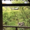 和楽な日々。。そうだ！京都に行ってみよう！！東福寺編（雲龍図を訪ねて！）