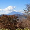 大観山からの富士と相模湾＆二日間の独り言