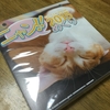 ２０１５にゃんめくり