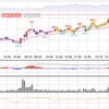 デイトレ30 チキン利確と損切り貧乏
