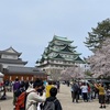 🌸お花見　日本の桜とカナダの桜🌸