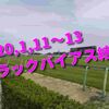 2020,1,11～13 トラックバイアス結果(中山競馬場、京都競馬場)