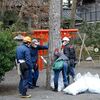 「重蔵神社」境内の松、投薬による治療中 (b｀・д・´)b