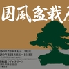 東京都美術館で毎年2月開催の『国風盆栽展』