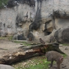 台北市立動物園