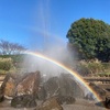 21/04/12 四季の森公園の噴水に虹が！