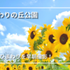 【2025年最新】ひまわりの丘公園が見頃に！開花状況・アクセス・混雑レポ｜兵庫県小野市