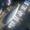 【三浦半島×青物ショアジギング釣行2024】イナダ本格シーズン開幕！大荒れ台風前釣行は楽しいシーズンの始まり♪