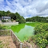 夫婦堰（千葉県長生）