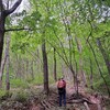 足を治し、心を癒す山旅。水沢山へ