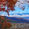 初冠雪と紅葉