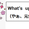 『 What's up?（やぁ、元気！？？）