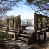 元岩巣山～岩巣山と福寿草 １