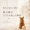ペットロスと体調不良の関係｜愛犬との別れから3年後に気付いた心と体のサイン