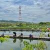 王仁公園新池釣センター（下新池）（大阪府枚方）