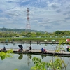 王仁公園新池釣センター（下新池）（大阪府枚方）