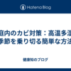 家庭内のカビ対策：高温多湿の季節を乗り切る簡単な方法