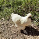 Tanpoposou’s blog