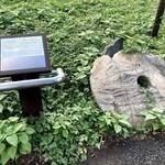 日比谷公園にある、ミクロネシア連邦ヤップ島の石貨について考える