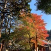 高尾山　紅葉が見頃