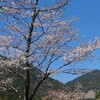 たまにはこんなことも！