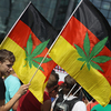 ドイツもオランダと同じ様に嗜好品の大麻は合法になった。