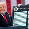 ヴィタリー・リュムシン「トランプが世界貿易戦争を迅速に巻き戻した理由」
