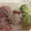 春うらら