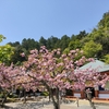 平日の鞍馬寺に参拝した話。