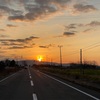 3日ぶりのマオイ〜11月23日(水)