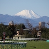 登山好きの私が私が住みたい街は4年で変わったのか？