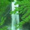 『深緑を断裂させる激流の滝』4日目