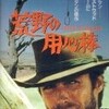 セルジオ・レオーネ監督『荒野の用心棒』（1964年）