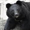 【みさき公園】大阪府岬町にある動物園へレッツゴー!(写真あり)_3