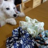 おさいほう