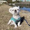 夢が一つ叶った・・　穴水町
