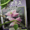 2010/05/27　クレマチスを５苗購入