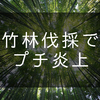 いきおいで竹林伐採したらプチ炎上してしまった話