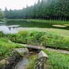 八雲池（山梨県富士川）