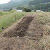 里山の畑にキャベツ、白菜などを植える