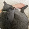 もう初夏でしょうか？！添い寝のシーズンは終了！？