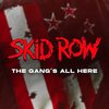SKID ROW（スキッド・ロウ）、新ヴォーカリストにエリク・グロンウォールを迎え、初の楽曲「The Gang's All Here」公開！！ニューアルバムは10月リリース！！