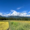 2023/09/05 火曜日　松本市美術館