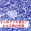 人間による汚染で健康への影響に直面している１マイルもの深さにいる海洋魚