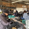 R7年3月8、9日