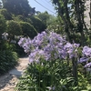  【鎌倉いいね】暑くても鎌倉。